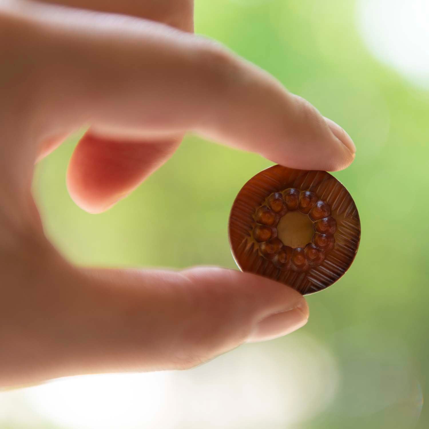 Antique mother of pearl button