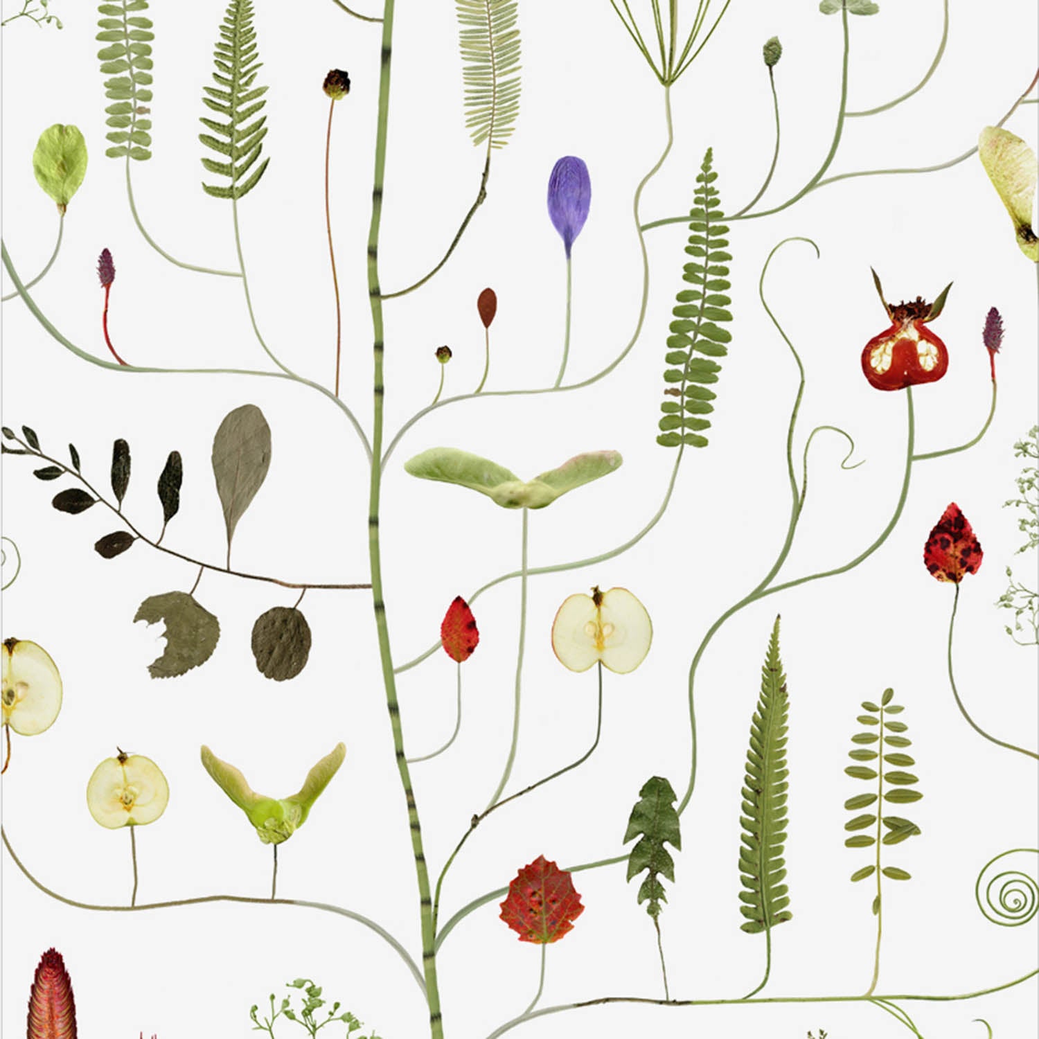 Poster June Tree