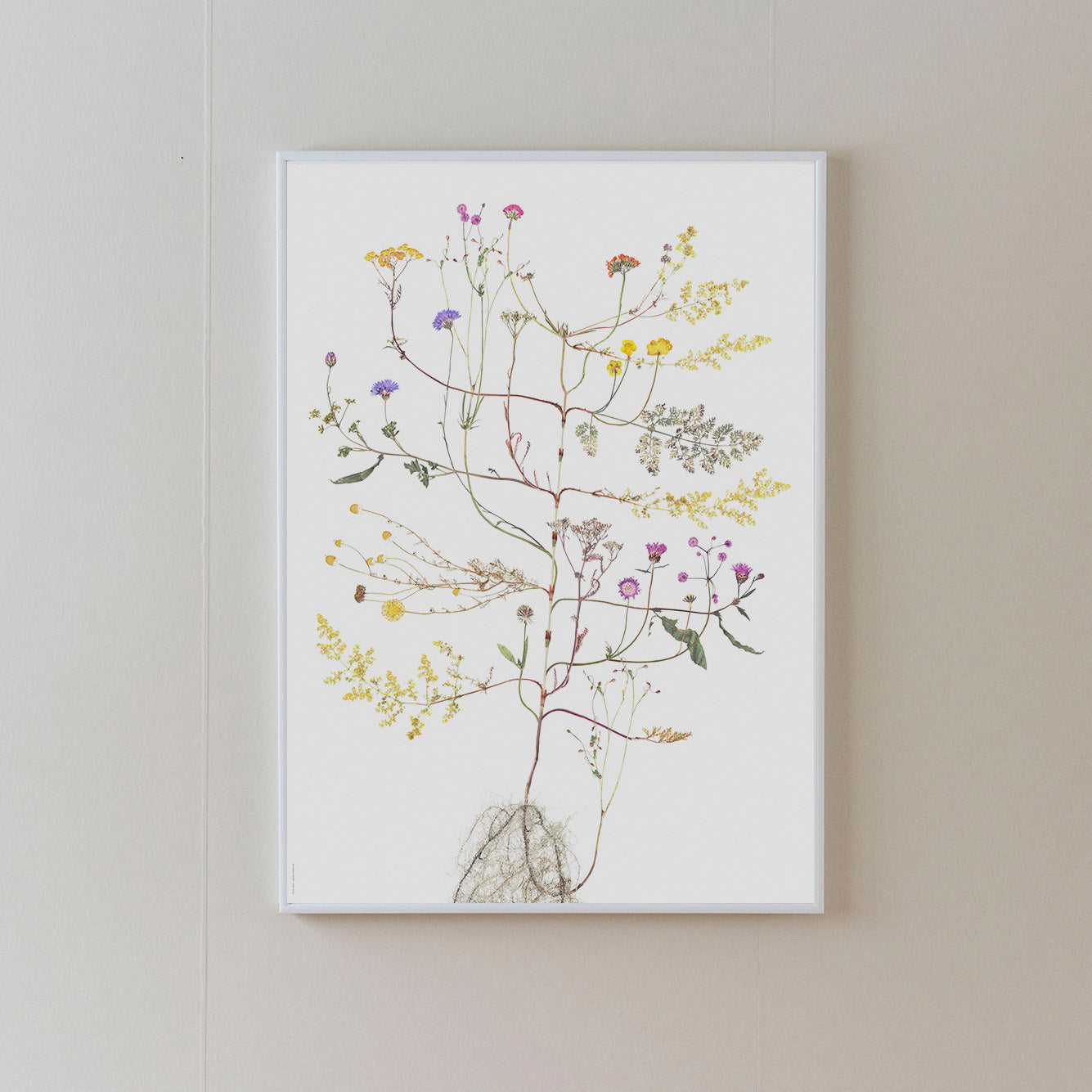 Poster Summer Tree