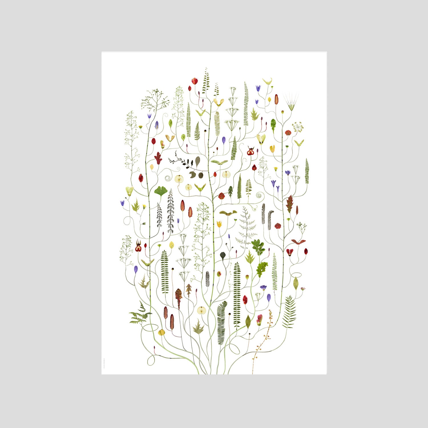 Poster June Tree