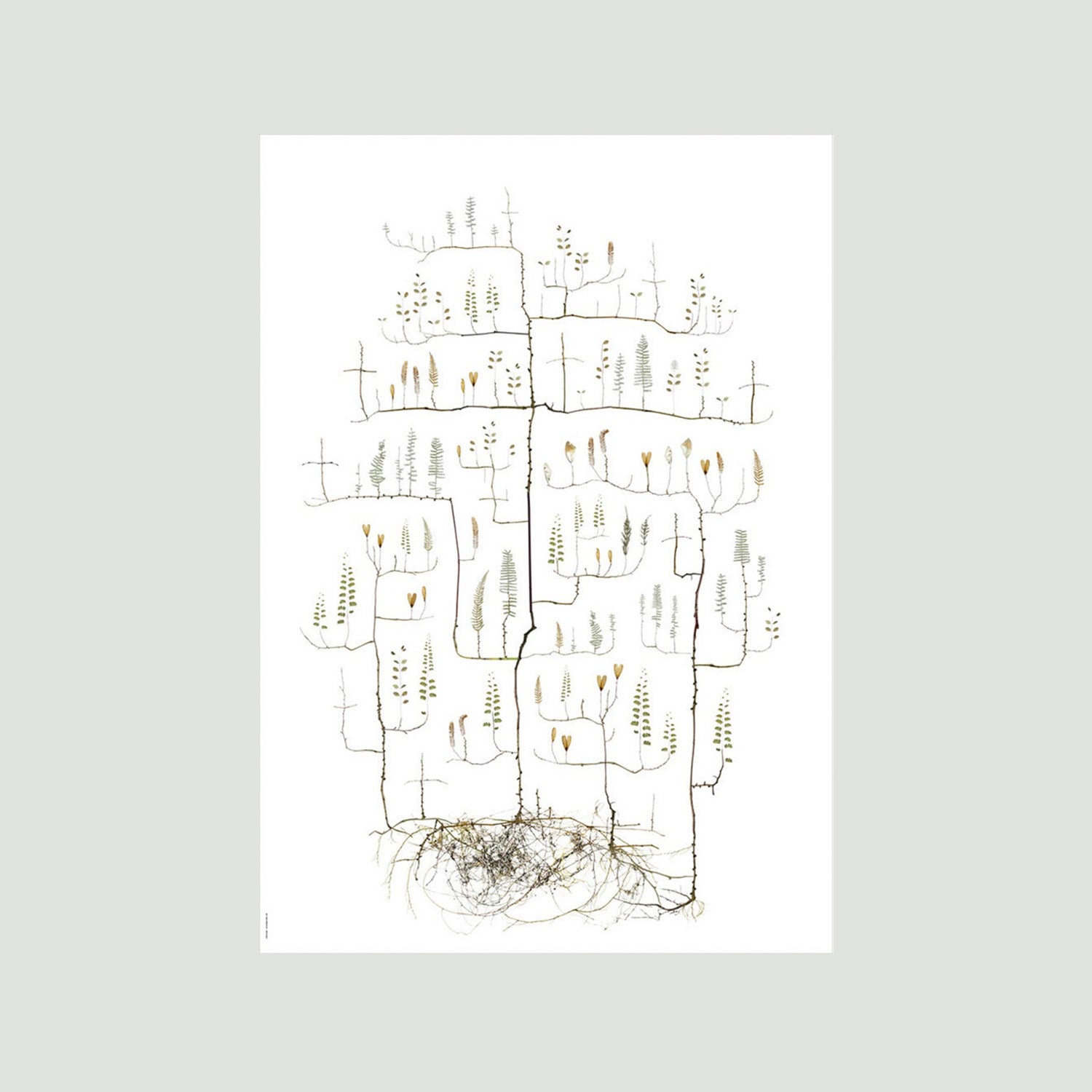 Poster Moth Tree