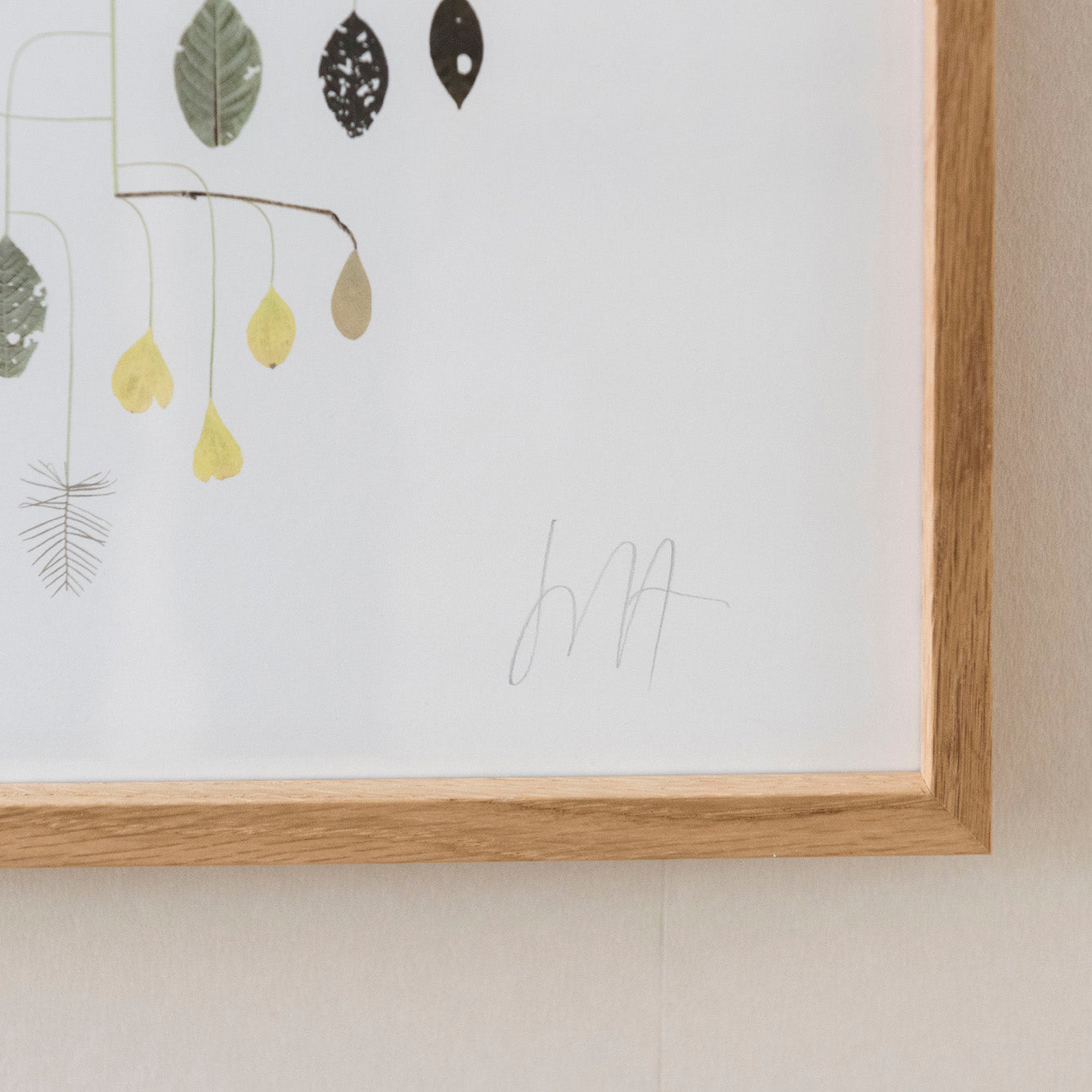 Poster Birdcherry Tree