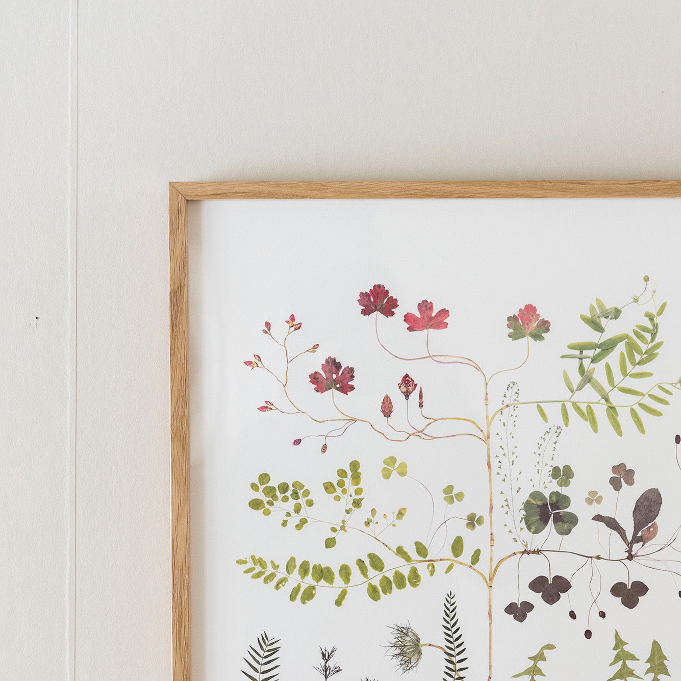 Poster Forest Tree