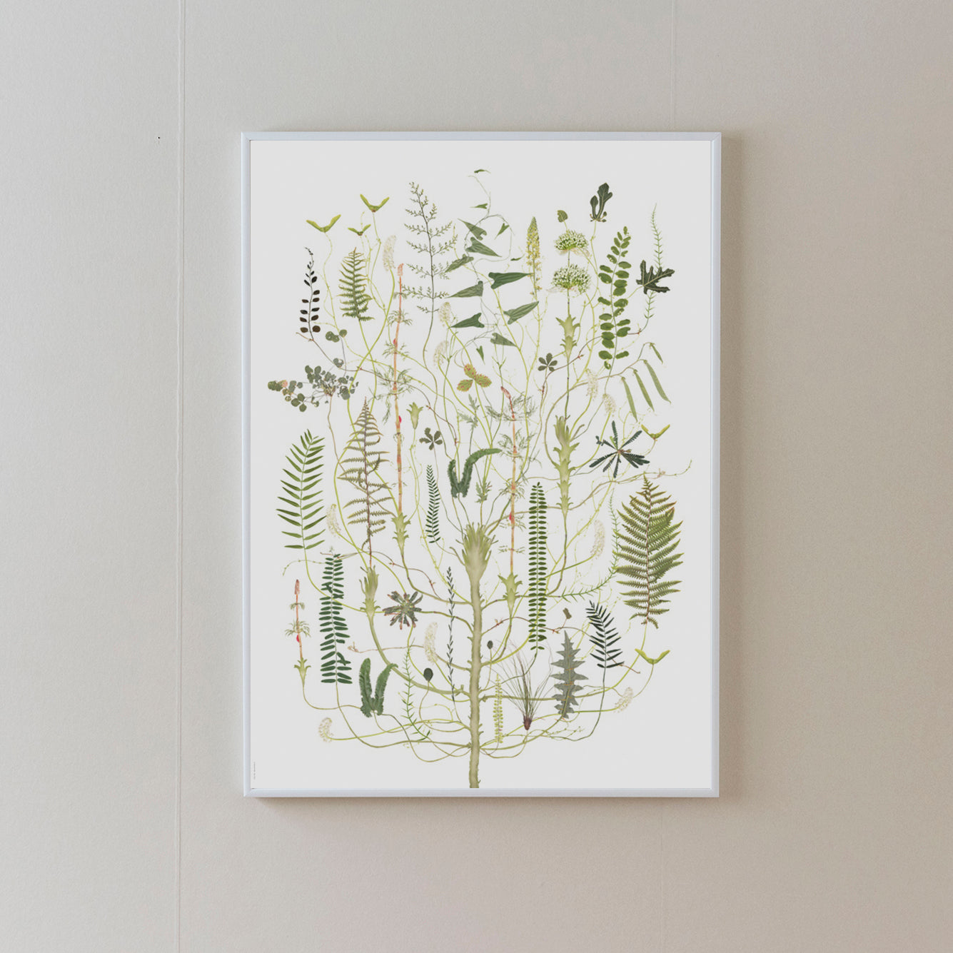 Poster Green Flora