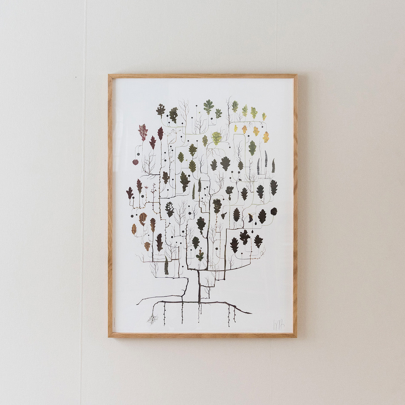 Poster Oak Tree