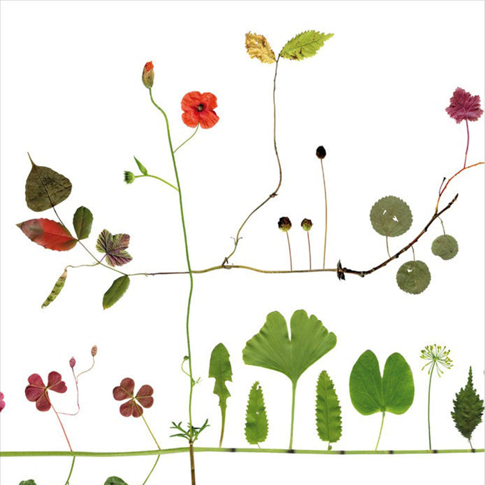 Multilit Tree Poster Multi Tree