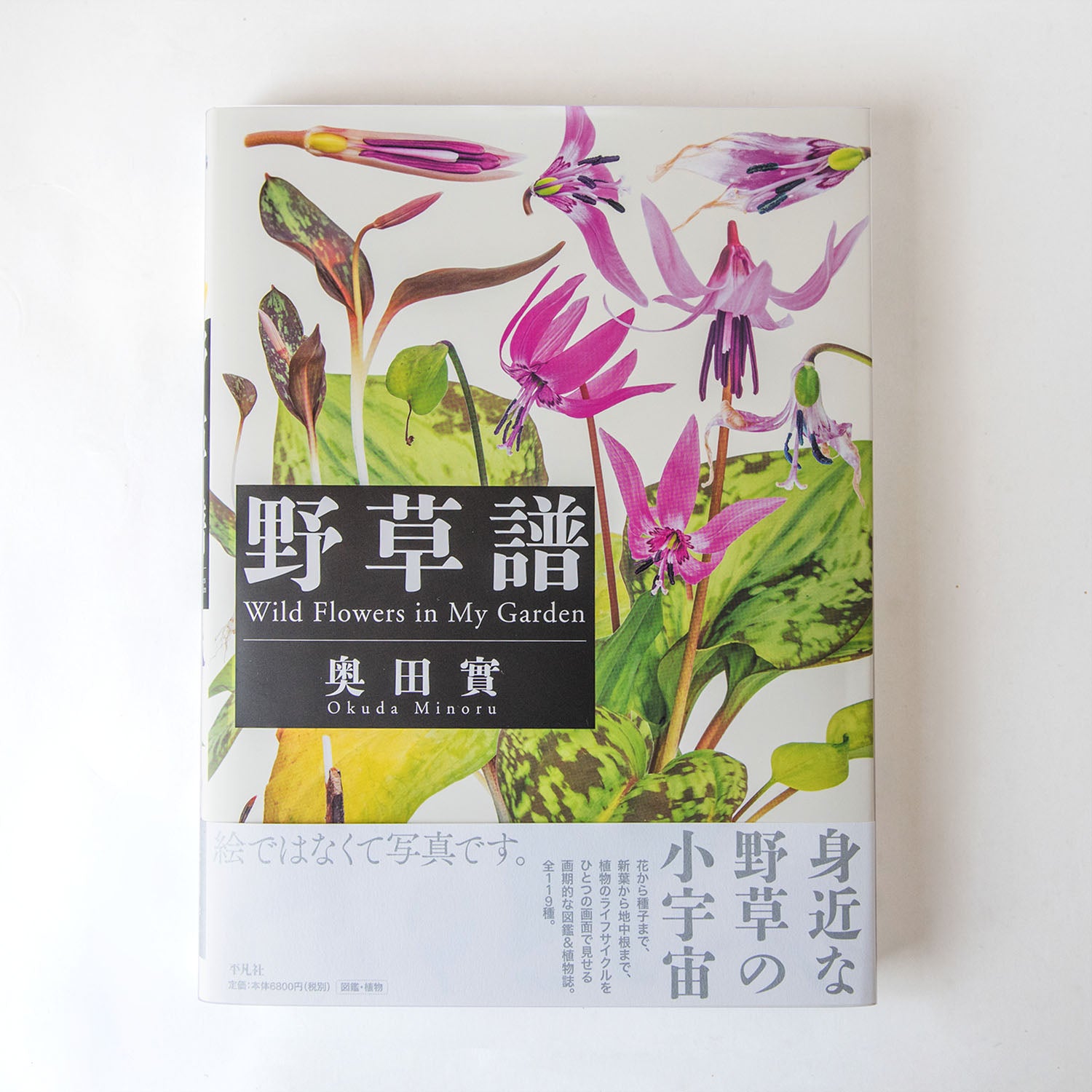 野草譜』 Wild Flowers in My Garden – GOOD NEWS by KITANOSUMAISEKKEISHA