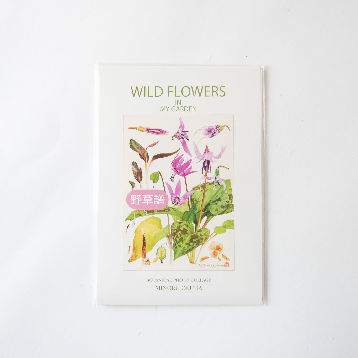 『野草譜』 Wild Flowers in My Garden ポストカード